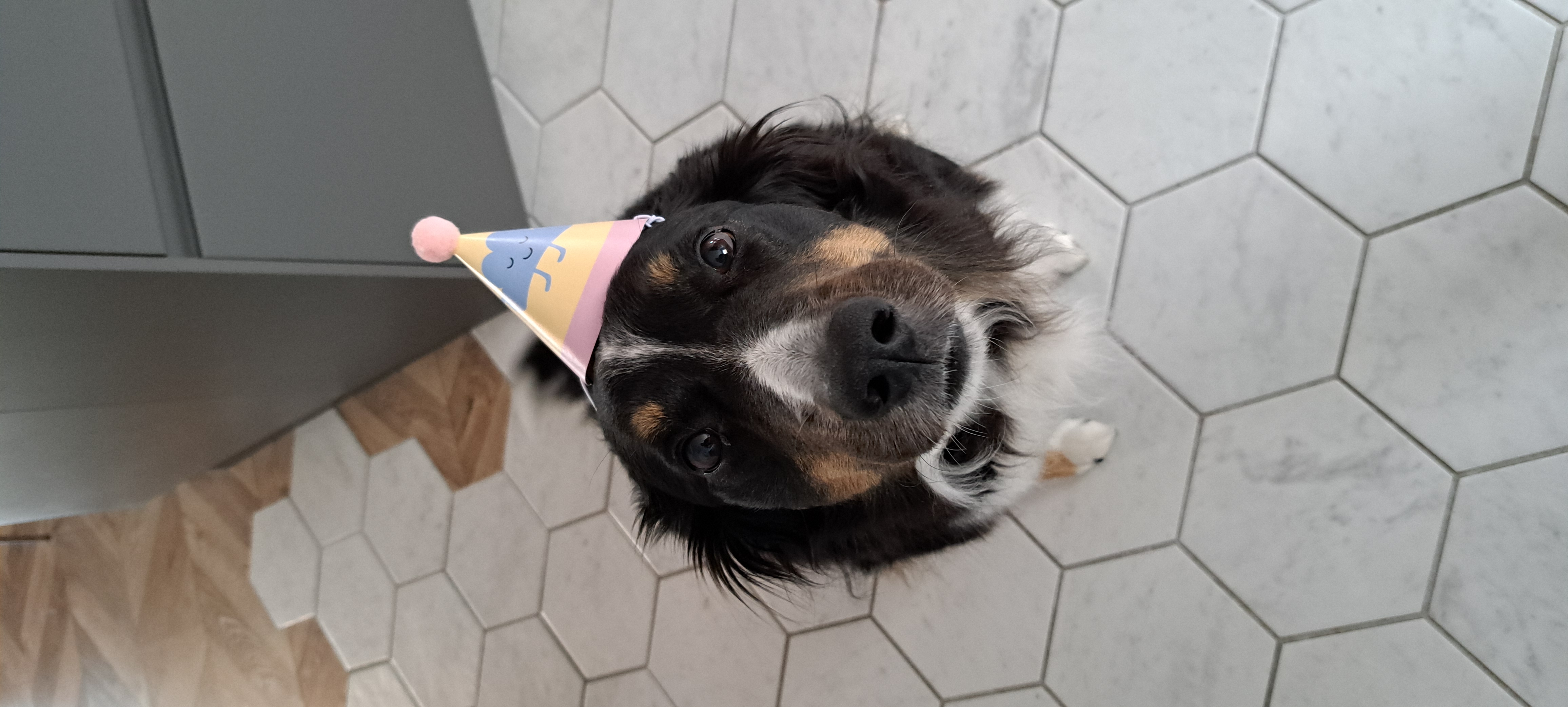Ída's profile picture